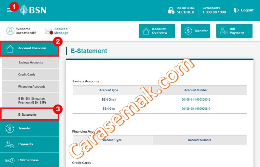 Cara Dapatkan Statement Bank BSN